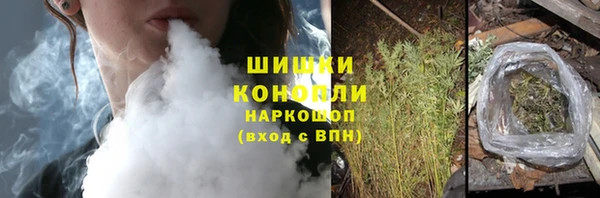 индика Абаза