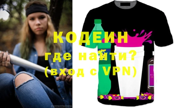 индика Абаза