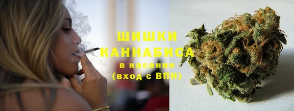 индика Абаза