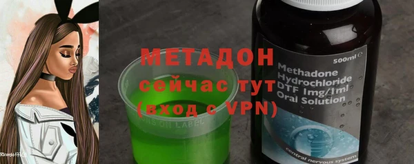 индика Абаза
