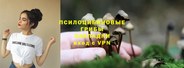 spice Абинск