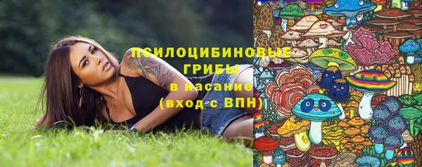 spice Абинск