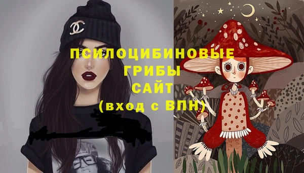 spice Абинск