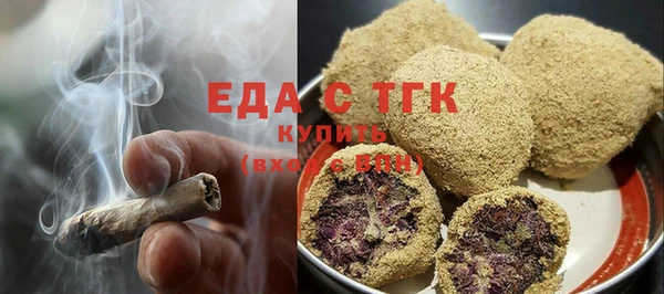 индика Абаза