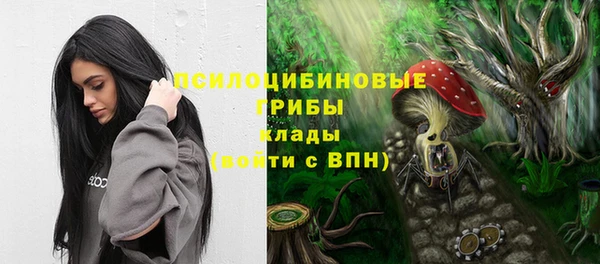 spice Абинск