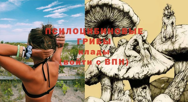индика Абаза