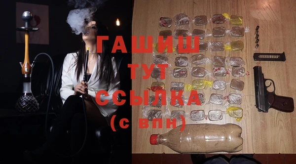 индика Абаза