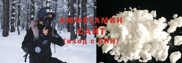 индика Абаза