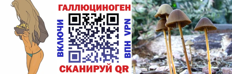 Галлюциногенные грибы мухоморы  где купить наркотик  даркнет официальный сайт  Холмск  kraken маркетплейс 
