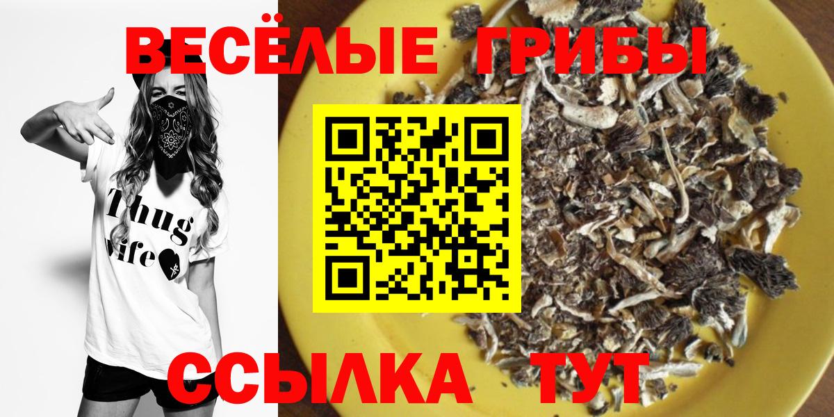 Псилоцибиновые грибы прущие грибы Холмск