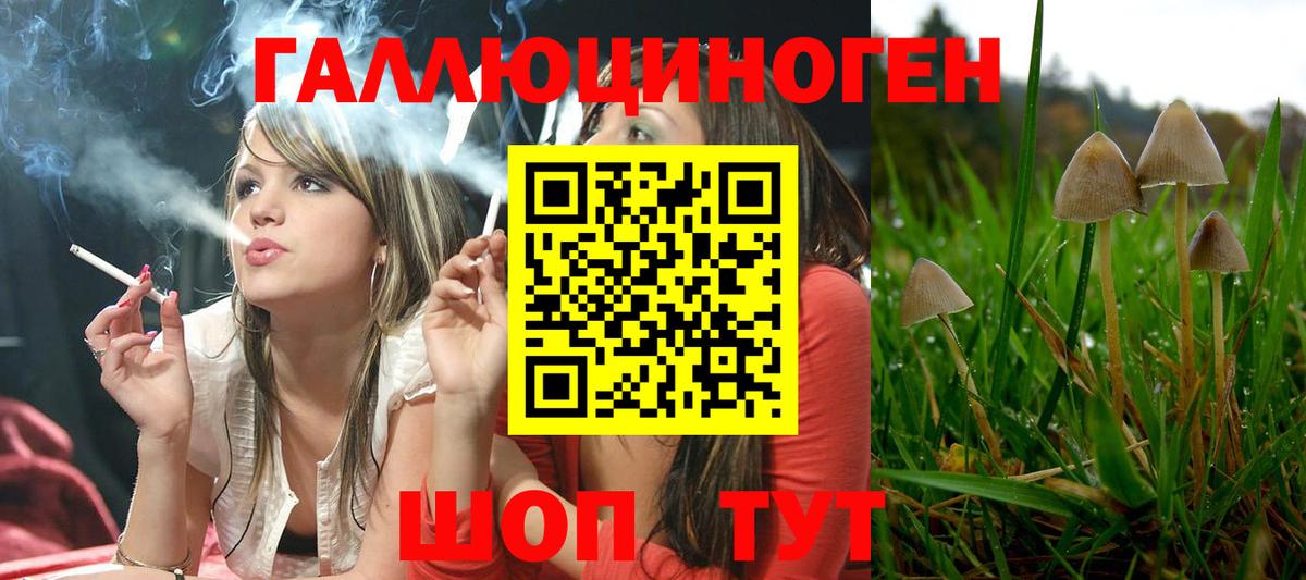 Галлюциногенные грибы Cubensis  Галлюциногенные грибы Cubensis  дарнет шоп  Вход с VPN  Холмск 